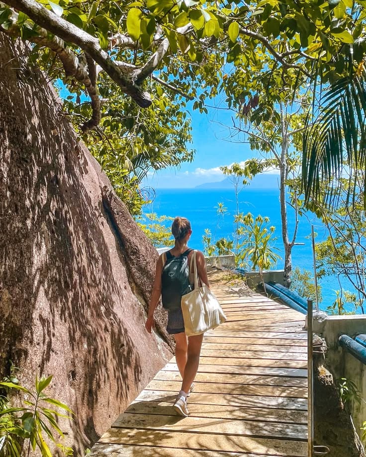A jungle trail climbing through granite boulders toward a Mahé viewpoint