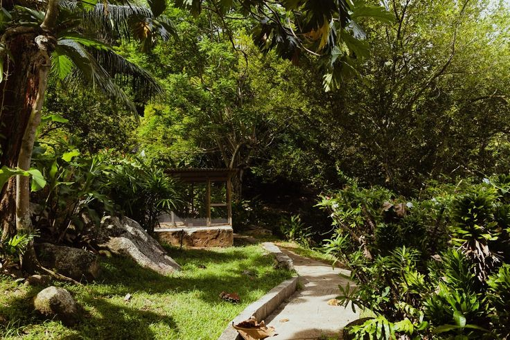 Spice plants and forest paths at the Jardin du Roi spice garden