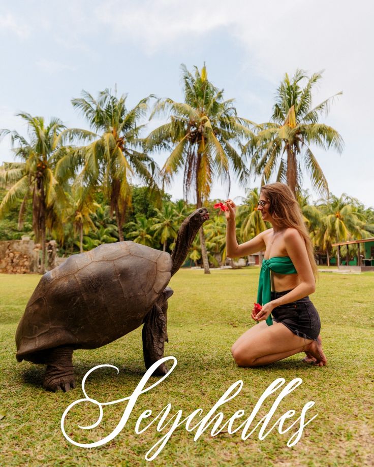 Giant Aldabra tortoise in the Victoria Botanical Garden
