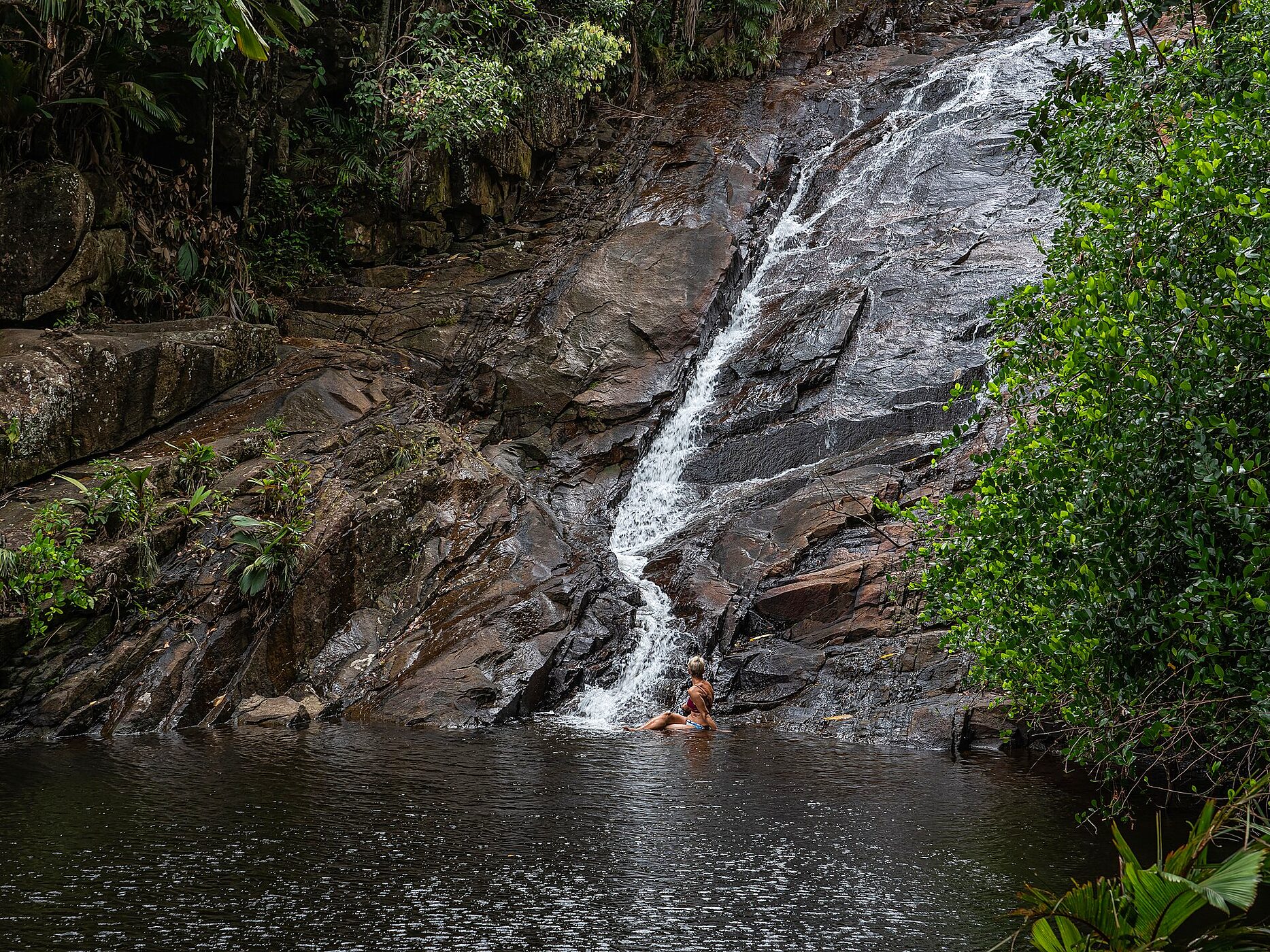 Sauzier waterfall falling into a jungle pool at Port Glaud